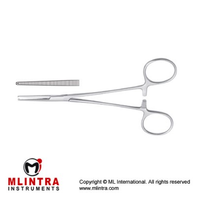 Leriche Haemostatic Forcep Straight - 1 x 2 Teeth Stainless Steel, 15.5 cm - 6" 